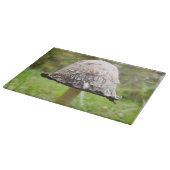 Shaggy Ink Cap Mushroom Glass Chopping Board Schneidebrett (Ecke)