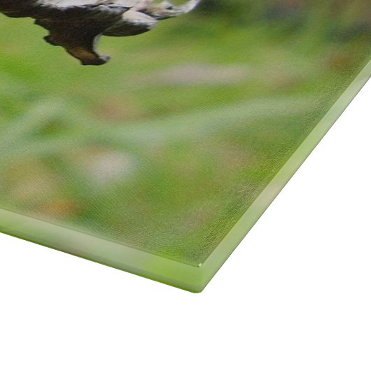 Shaggy Ink Cap Mushroom Glass Chopping Board Schneidebrett (Ecke)