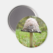 Shaggy Ink Cap Mushroom Magnet (Vorderseite/Rückseite)