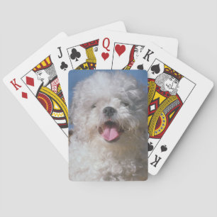 Shaggy Poodle Dog Playing Cards Spielkarten