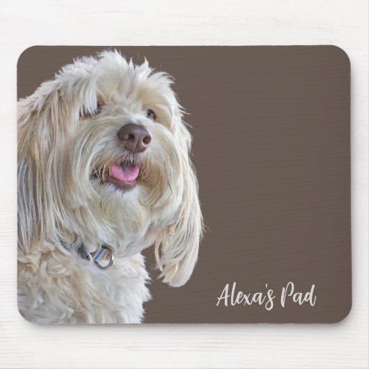 Shaggy Poodle mit Individuelle Name Mousepad (Vorne)
