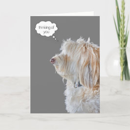 Shaggy Poodle Portrait Denken Sie an Sie Karte