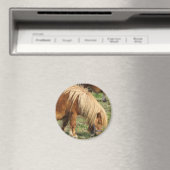 Shaggy Shetland Pony Magnet (In Situ (Geschirrspüler))