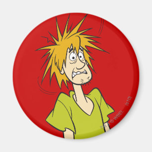 Shaggy verängstigt magnet