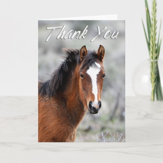 Shaggy Wild Mustang Foto Danke, Card Dankeskarte (Vorderseite)