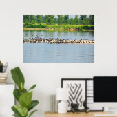 Shags, Fluss Donau Poster (Heimbüro)