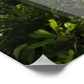 Shah Rukh Khan Zitat - Gehen Sie weiter mit Hoffnu Poster (Ecke)