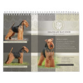 Shaireabs Bayleigh Waliser Terrier Kalender 2014 (Titelbild)