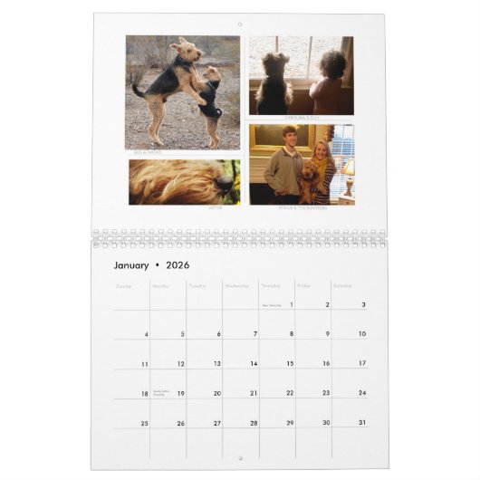 Shaireabs Bayleigh Waliser Terrier Kalender 2014 (Jan 2026)