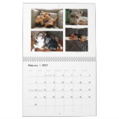 Shaireabs Bayleigh Waliser Terrier Kalender 2014 (Feb 2027)