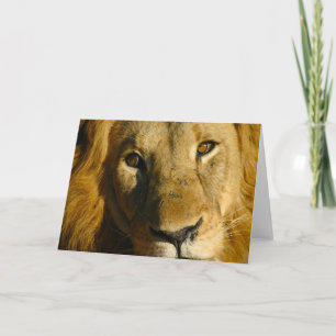 Shaka Eye of the Lion Karte