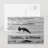 Shake a Leg Postkarte (Vorne/Hinten)