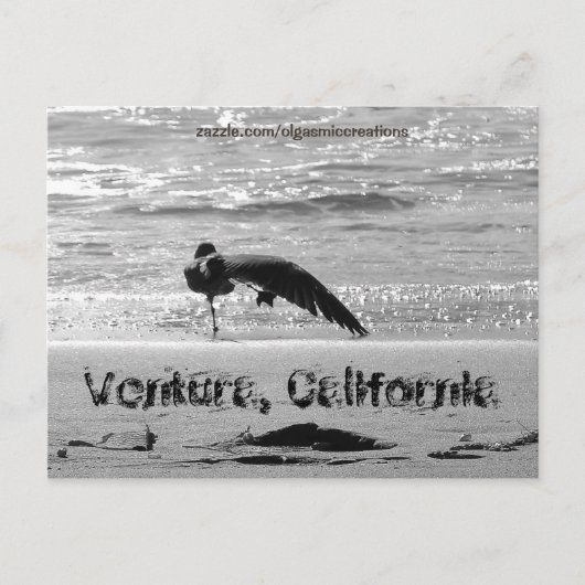 Shake a Leg Postkarte (Vorderseite)