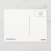 Shake Shack Postkarte (Rückseite)