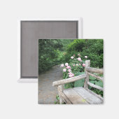 Shakespeare Garden Benz Rose Central Park NYC Magnet (Vorderseite/Rückseite)