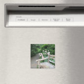 Shakespeare Garden Benz Rose Central Park NYC Magnet (In Situ (Geschirrspüler))