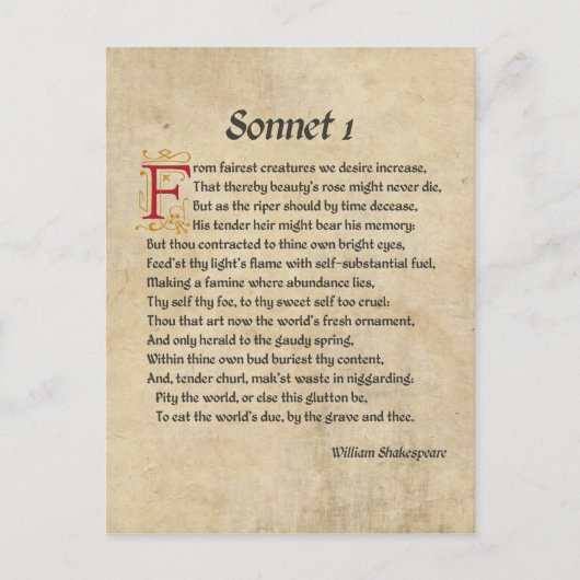 Shakespeare Sonnet 1 Parchment Postkarte (Vorderseite)