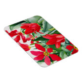 Shakespeare Tulips Magnet (Rechte Seite)