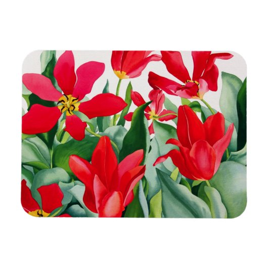 Shakespeare Tulips Magnet (Horizontal)