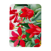 Shakespeare Tulips Magnet (Vertikal)