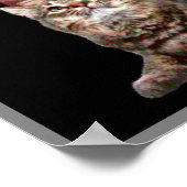 Shakespeare und sein Kätzchen Poster (Ecke)