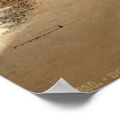 Shakespeare's Cliff, Dover, Kent, England Poster (Ecke)