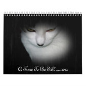 Shakira 2012 Kalender! Kalender (Titelbild)