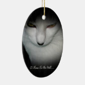 Shakiras Zeit, noch zu sein verzieren… Keramikornament (Rechts)