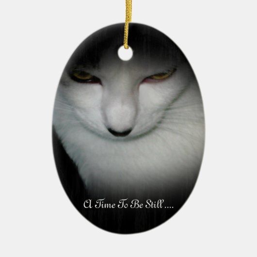 Shakiras Zeit, noch zu sein verzieren… Keramikornament (Vorne)