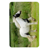 Shakmalpferd Flexible Magnet (Vertikal)