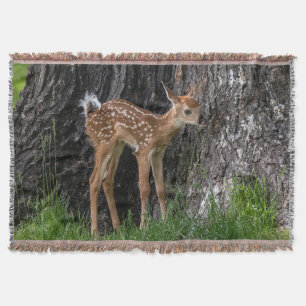 Shaky Legs Fawn Decke
