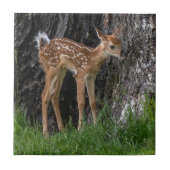 Shaky Legs Fawn Fliese (Vorderseite)