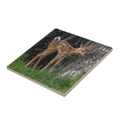 Shaky Legs Fawn Fliese (Seite)