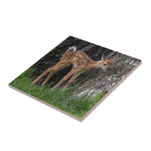 Shaky Legs Fawn Fliese (Seite)