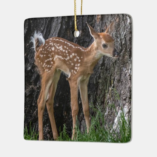 Shaky Legs Fawn Keramikornament (Links)