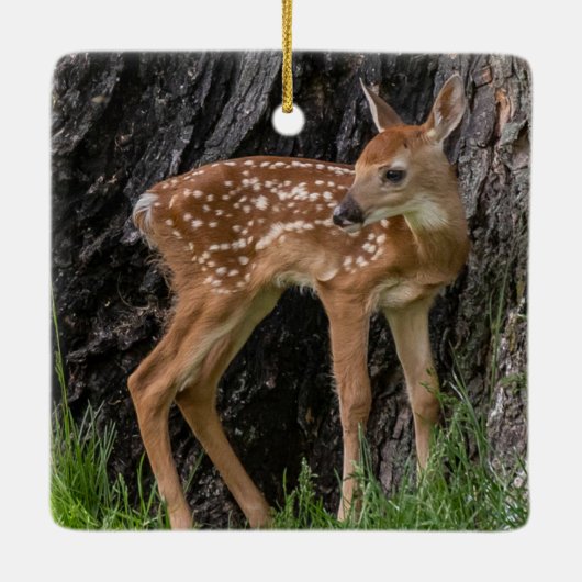 Shaky Legs Fawn Keramikornament (Rückseite)