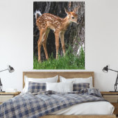 Shaky Legs Fawn Leinwanddruck (Insitu (Schlafzimmer))