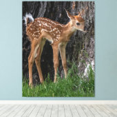 Shaky Legs Fawn Leinwanddruck (Insitu (Holzboden))