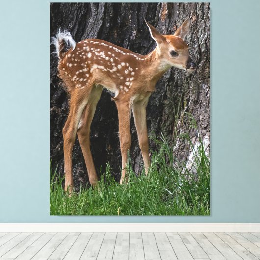 Shaky Legs Fawn Leinwanddruck (Insitu (Holzboden))