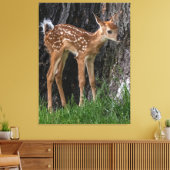 Shaky Legs Fawn Leinwanddruck (Insitu (Wohnzimmer))