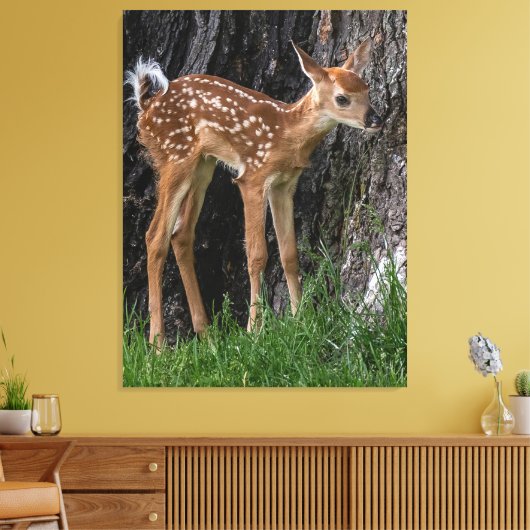 Shaky Legs Fawn Leinwanddruck (Insitu (Wohnzimmer))