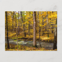 Shale Hollow im Herbst, Lewis Centre, Ohio Postkarte