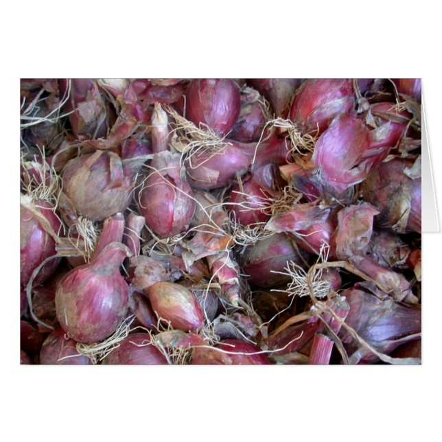 Shallot-Blankarte (Vorderseite (Horizontal))