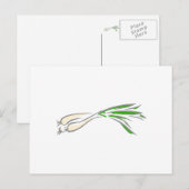 Shallots Postkarte (Vorne/Hinten)