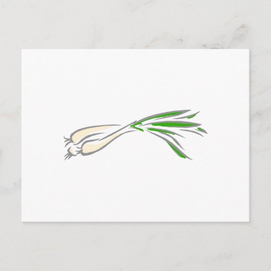 Shallots Postkarte (Vorderseite)