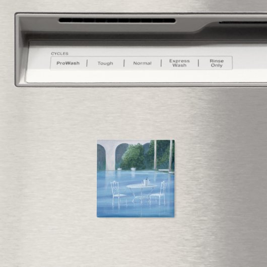 Shallow End Magnet (In Situ (Geschirrspüler))