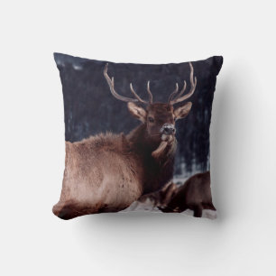 SHALLOW FOCUS FOTO BROWN DEER KISSEN