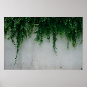 SHALLOW-FOCUS-FOTO FÜR FERN-PFLANZE POSTER