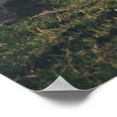 SHALLOW FOCUS FOTOGRAFIE DER PFERDE POSTER (Ecke)