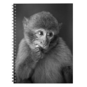 SHALLOW FOCUS FOTOGRAFIE DES SCHWARZEN MONKEY NOTIZBLOCK